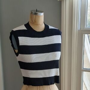 Sincerely Jules Black and White Striped Crop Top